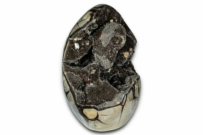 Free-Standing, Polished Septarian Geode - Black Crystals #339401